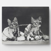 Kitten Mischief Makers 1914 Fotoplatte (Vorderseite)