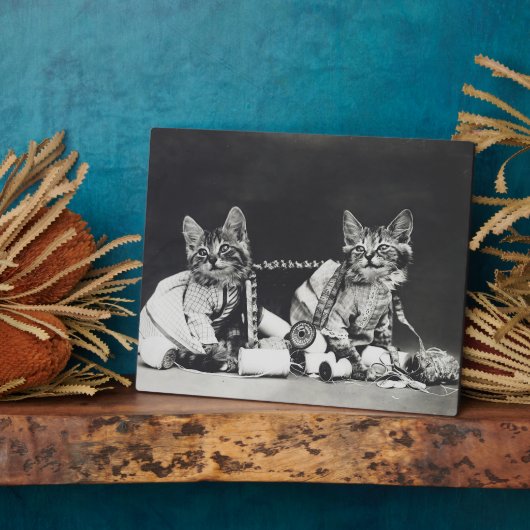 Kitten Mischief Makers 1914 Fotoplatte (Seite)