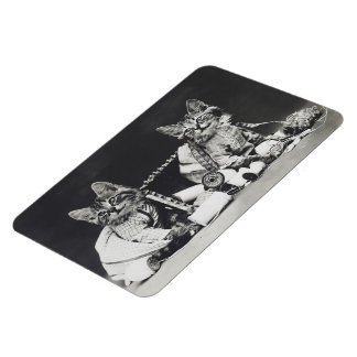 Kitten Mischief Makers 1914 Magnet