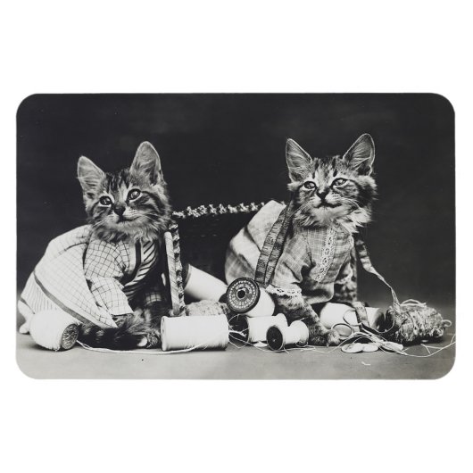 Kitten Mischief Makers 1914 Magnet (Horizontal)