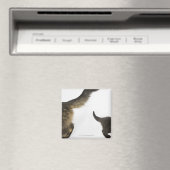 Kitten mit Blick auf den Schwanz seiner Mutter Magnet (In Situ (Geschirrspüler))