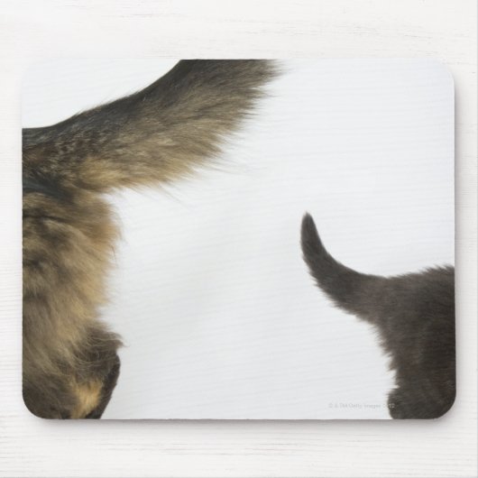 Kitten mit Blick auf den Schwanz seiner Mutter Mousepad (Vorne)