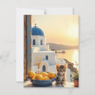 Kitten mit Blick auf den Sonnenuntergang Postkarte