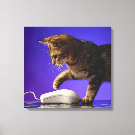Kitten mit Computermaus Leinwanddruck (Vorderseite)