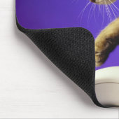 Kitten mit Computermaus Mousepad (Ecke)