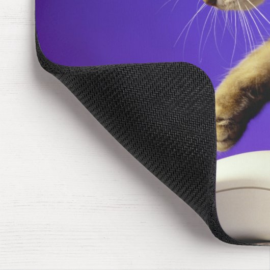 Kitten mit Computermaus Mousepad (Ecke)