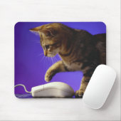 Kitten mit Computermaus Mousepad (Mit Mouse)