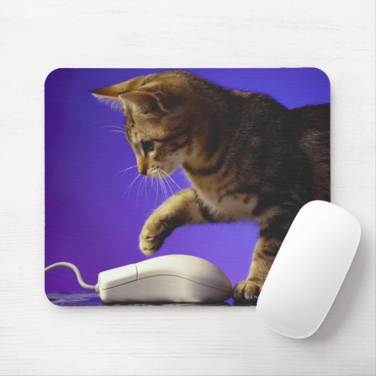 Kitten mit Computermaus Mousepad (Mit Mouse)