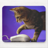 Kitten mit Computermaus Mousepad (Vorne)