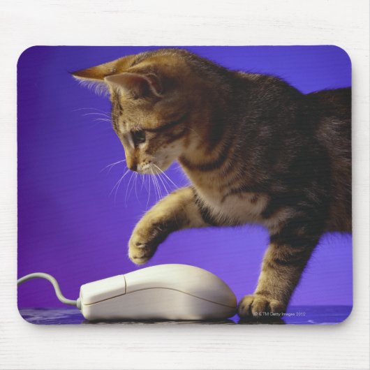 Kitten mit Computermaus Mousepad (Vorne)