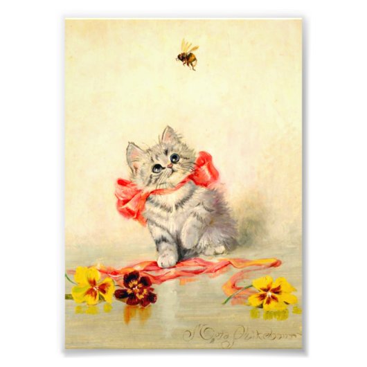 Kitten mit einem roten Band Fotodruck (Vorne)