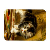 Kitten mit Farbe und Pinsel Magnet (Horizontal)