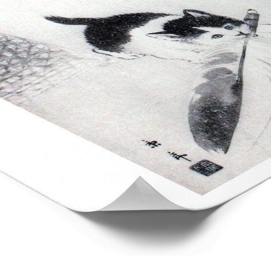 Kitten mit Feather, Imao Keinen Poster (Ecke)