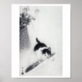 Kitten mit Feather, Imao Keinen Poster (Vorne)