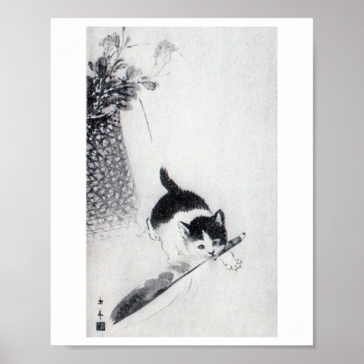 Kitten mit Feather, Imao Keinen Poster (Vorne)