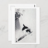 Kitten mit Feather, Imao Keinen Postkarte (Vorne/Hinten)