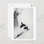 Kitten mit Feather, Imao Keinen Postkarte (Vorne/Hinten)