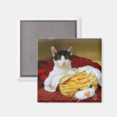 Kitten mit Toy Tiger Magnet (Vorderseite/Rückseite)