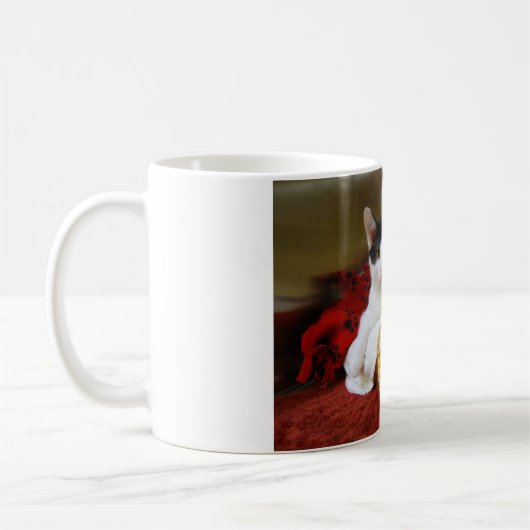 Kitten mit Toy Tiger Tasse (Links)
