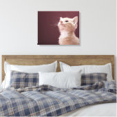 Kitten mit Whiskers Leinwanddruck (Insitu (Schlafzimmer))