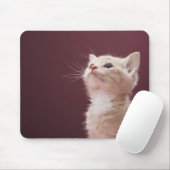 Kitten mit Whiskers Mousepad (Mit Mouse)