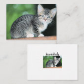 Kitten Mitteilungskarte (Vorne/Hinten)
