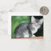 Kitten Mitteilungskarte (Vorderseite/Rückseite Beispiel)
