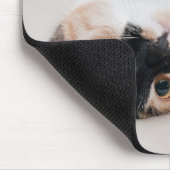 Kitten Mousepad (Ecke)