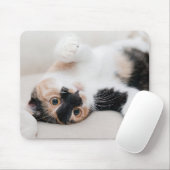Kitten Mousepad (Mit Mouse)