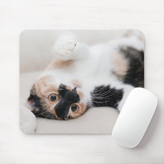 Kitten Mousepad (Mit Mouse)