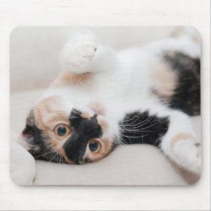 Kitten Mousepad