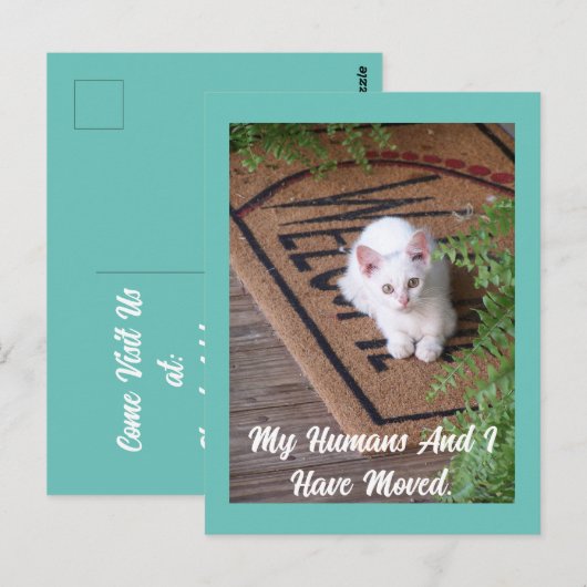 Kitten Moving Postcard Postkarte (Vorne/Hinten)