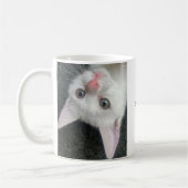 Kitten Mug, Funny Mug Kaffeetasse (Links)