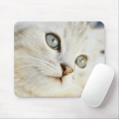 Kitten, nah-up 2 mousepad (Mit Mouse)