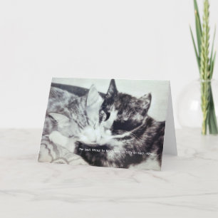 KITTEN NICKERCHEN Grußkarte Dankeskarte