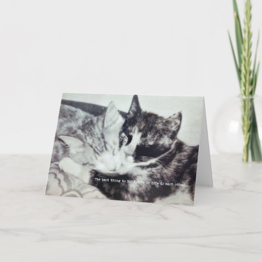 KITTEN NICKERCHEN Grußkarte Dankeskarte (Vorderseite)