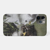 Kitten, Niedlich, Natur Case-Mate iPhone Hülle (Rückseite (Horizontal))