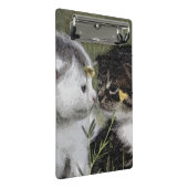 Kitten, Niedlich, Natur Mini Klemmbrett (Schrägansicht)