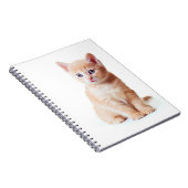 Kitten Notebook Notizblock (Rechte Seite)