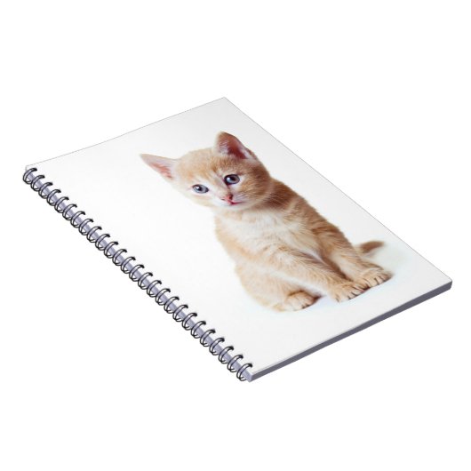 Kitten Notebook Notizblock (Rechte Seite)