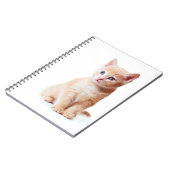Kitten Notebook Notizblock (Linke Seite)