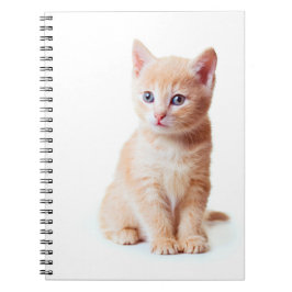Kitten Notebook Notizblock