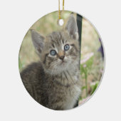 Kitten Ornament (Links)