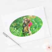 Kitten Oval Shape Stickers (Umschlag)