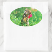 Kitten Oval Shape Stickers (Tasche)