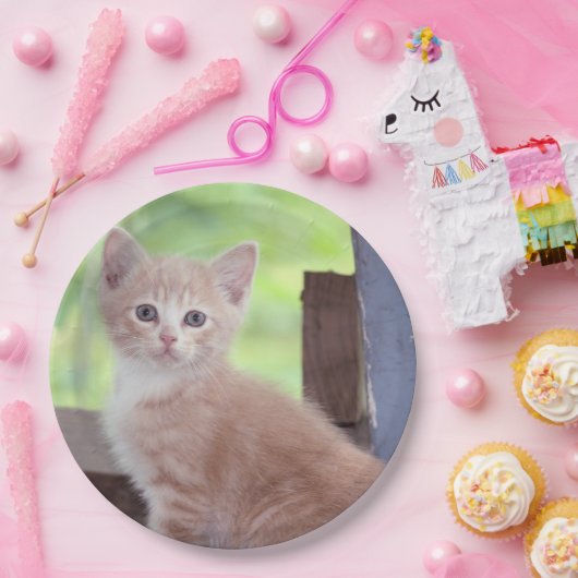 Kitten Pappteller (Party)