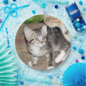 Kitten Pappteller (Party)