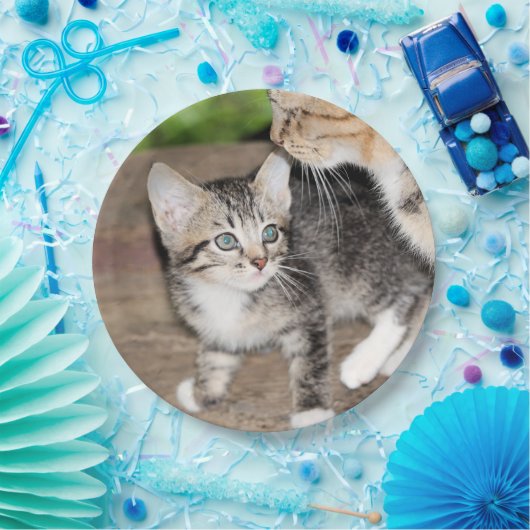 Kitten Pappteller (Party)