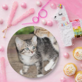 Kitten Pappteller (Party)