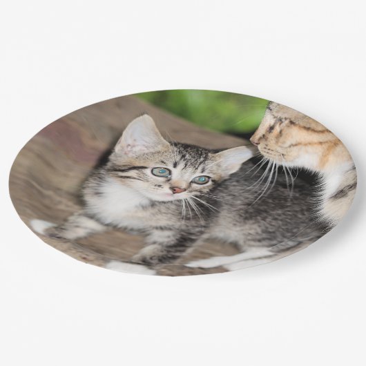 Kitten Pappteller (Schrägansicht)